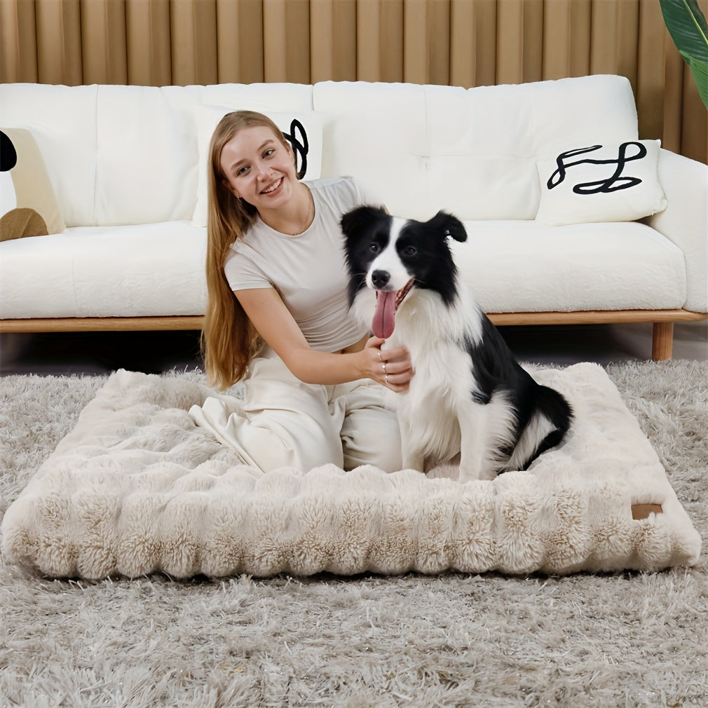 Bingopaw Large Dog Bed - Thick Foam Base & Removable Cover, Multiple Sizes (M-XXXXL), Plush Sponge Pet Bed for Medium/Small/Large Dogs & Cats, Cozy Sleeping Area with Removable Cover, Dog Bed, Cozy Pet Furniture, Plush Pet Bed, Durable Pet Furniture