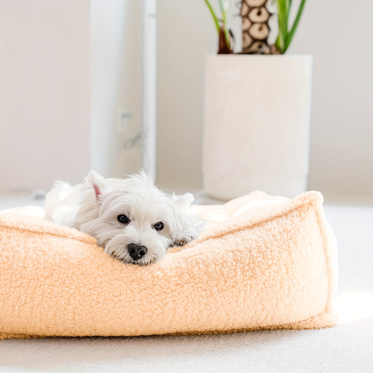 4-Season Pet Bed for Small to Medium Dogs & Cats - Washable Neck Support with Removable Pillow, Soft Plush Beige & Green Dog Bed with Marble Pattern, Durable Lightweight Design for Home & Travel, Pet Bed for Dogs, Cozy Pet Furniture, Stylish Pet