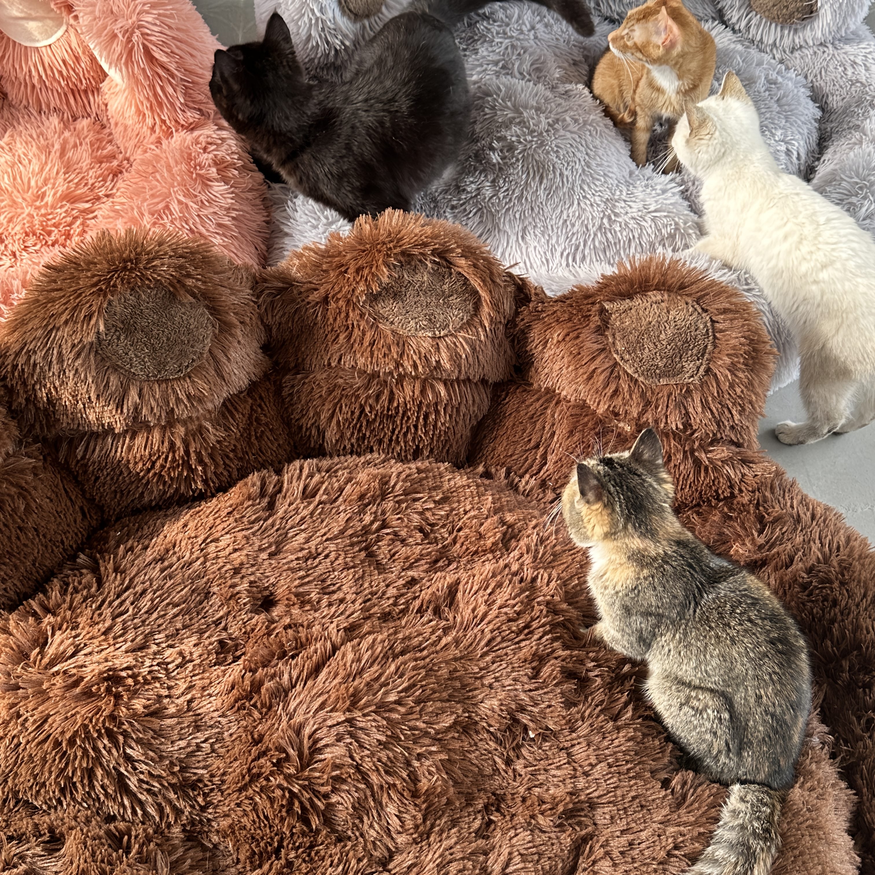 Deluxe Bear Paw Plush Pet Bed Ultra-Soft Faux Fur Round Lounger For Dogs & Cats, Warm And Calming Donut Nest With Anti-Slip Bottom, Thick PP  Filling, Machine Washable, Perfect For Small, Medium & Large Breeds All Year Round