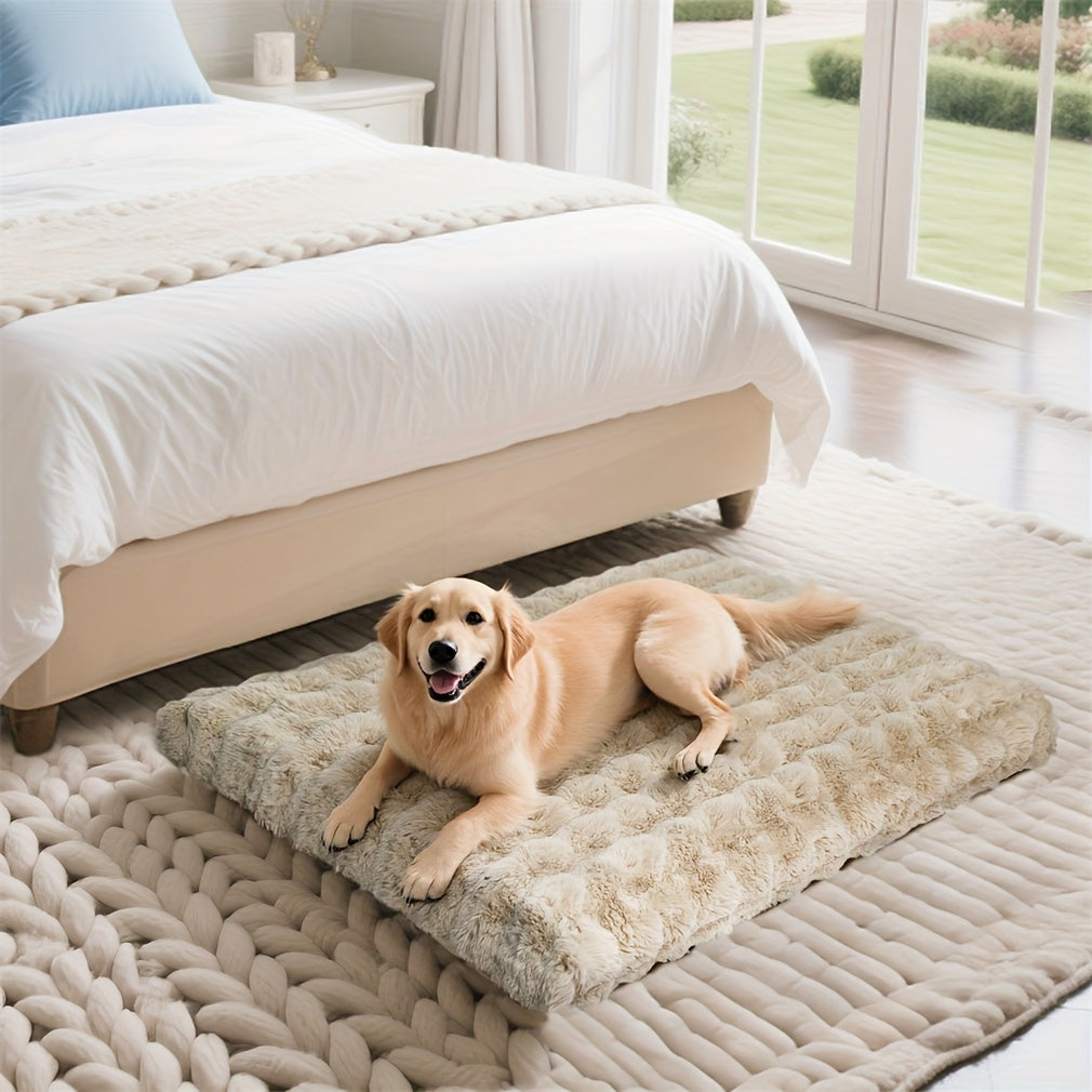 Bingopaw Large Dog Bed - Thick Foam Base & Removable Cover, Multiple Sizes (M-XXXXL), Plush Sponge Pet Bed for Medium/Small/Large Dogs & Cats, Cozy Sleeping Area with Removable Cover, Dog Bed, Cozy Pet Furniture, Plush Pet Bed, Durable Pet Furniture